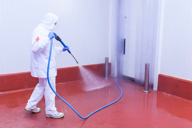 Best Graffiti Removal Services in Colonia, NJ